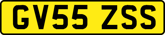GV55ZSS