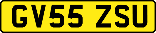 GV55ZSU
