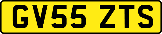 GV55ZTS