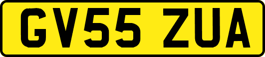 GV55ZUA