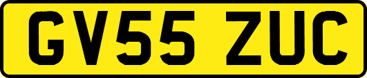 GV55ZUC