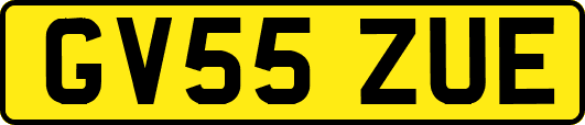 GV55ZUE