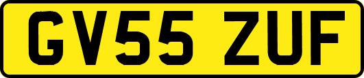 GV55ZUF