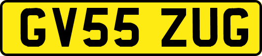 GV55ZUG