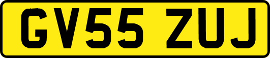 GV55ZUJ