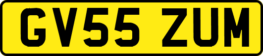 GV55ZUM