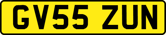 GV55ZUN