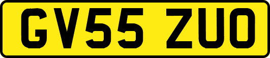 GV55ZUO