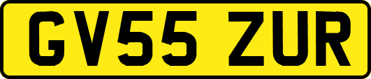 GV55ZUR