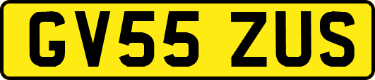 GV55ZUS