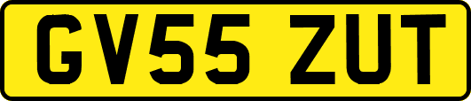 GV55ZUT
