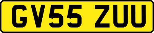 GV55ZUU