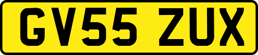 GV55ZUX