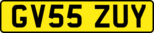 GV55ZUY