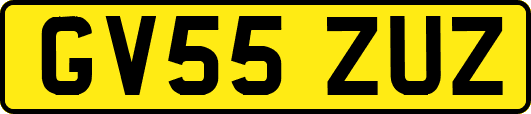 GV55ZUZ