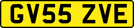 GV55ZVE