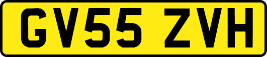 GV55ZVH
