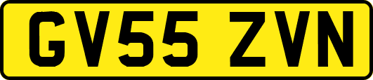 GV55ZVN