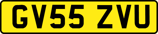 GV55ZVU