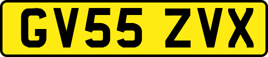 GV55ZVX