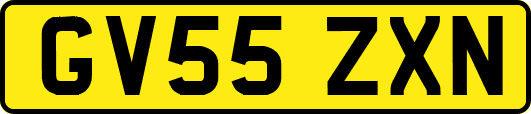 GV55ZXN