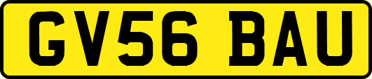 GV56BAU