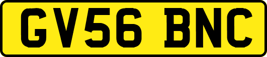 GV56BNC