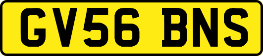 GV56BNS