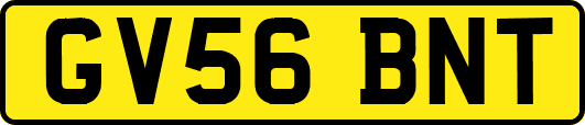 GV56BNT