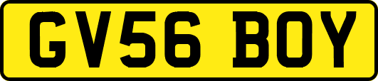 GV56BOY