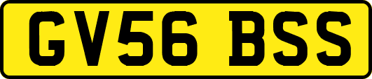 GV56BSS