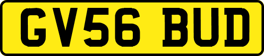 GV56BUD