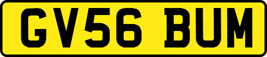 GV56BUM