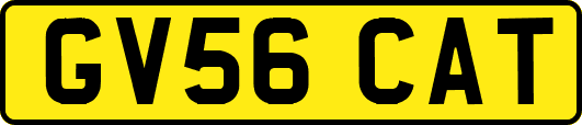 GV56CAT