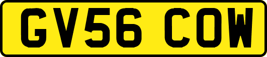 GV56COW
