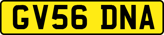 GV56DNA