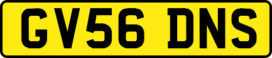 GV56DNS