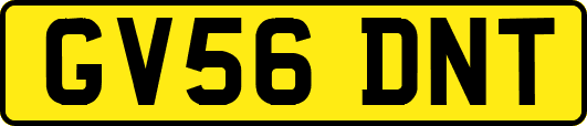 GV56DNT
