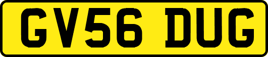 GV56DUG