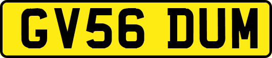 GV56DUM
