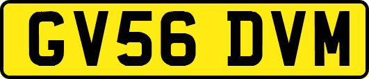 GV56DVM