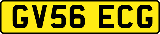 GV56ECG