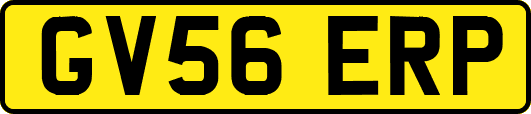 GV56ERP