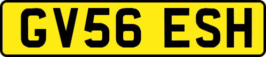 GV56ESH