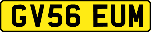 GV56EUM