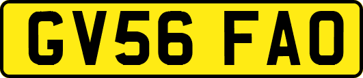 GV56FAO