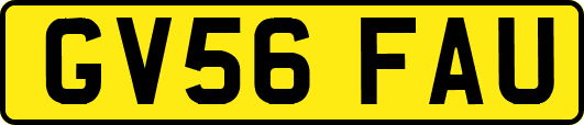 GV56FAU