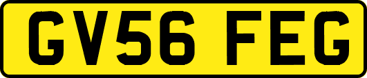 GV56FEG