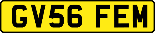 GV56FEM