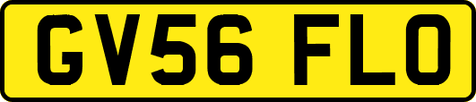 GV56FLO